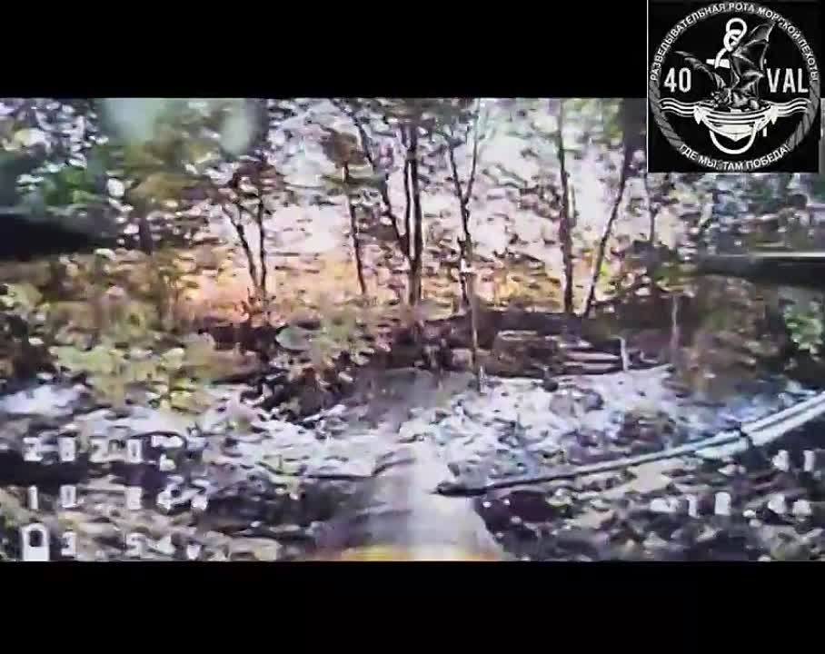 ������� ������� ���������� fpv ������� ���������� ��� "��������"