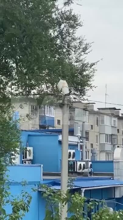 � �������� ���������� �������� ����� ����������� ���������� ����������� � ���� ������ ����