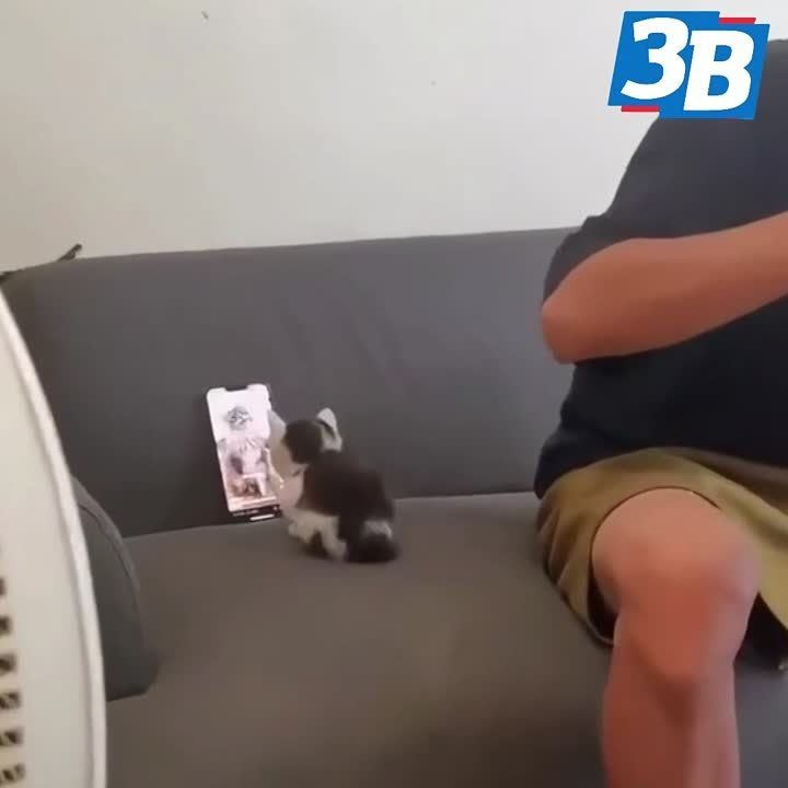�� �������-�� �������� �����