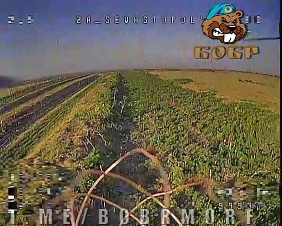 �� ���������� ����������� ����������� ���� ������ ���������� ��������