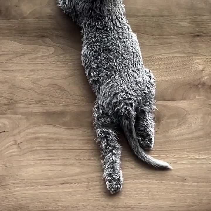 ������ ��������: ������ ������ �������-����