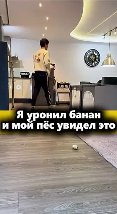 ������ ����, ��������! ���������� ��������� � ������������ ��������� � ����� ������� ������! ��� ����� ��������!