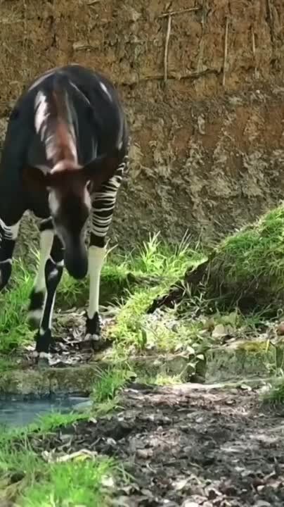 ����������� ��� ������� ������������ ����� ������� � ������ ����������� ���� �����, ������������� �� ������-������� ��������������� ���������� �����