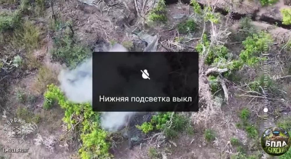 ������ ����� ���������� :