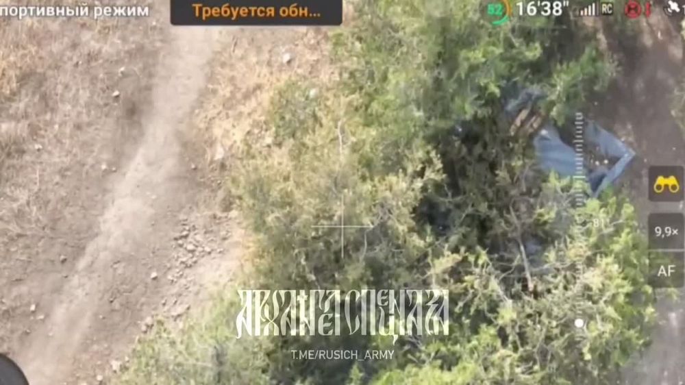 ��������� ������ ������ ����������, ��������������� � ����������, ���� ����� ����������, ��� ��� �� ��������