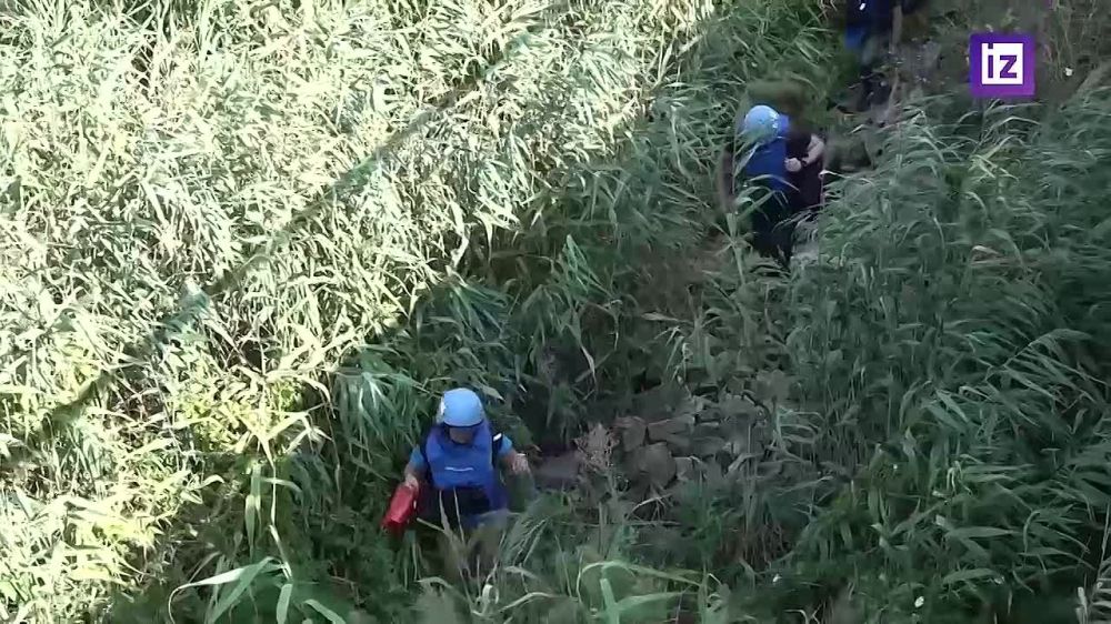 ���������� �������������� ���������� 21-� ������� ������������ ������ �� ����������� ���