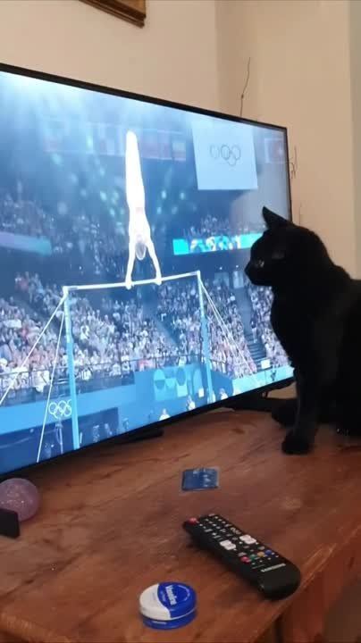����� ���������� 2: ��� ������ ���������� �� ������ � �����������