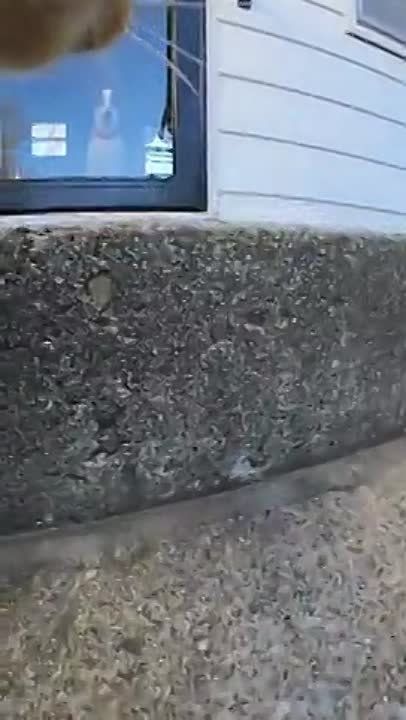 ���������� �������� ������� ����