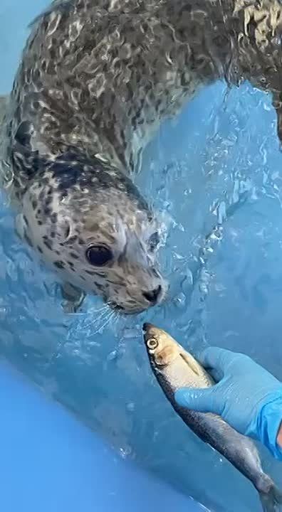 ����!. ��������� ��������!! �������������� ��