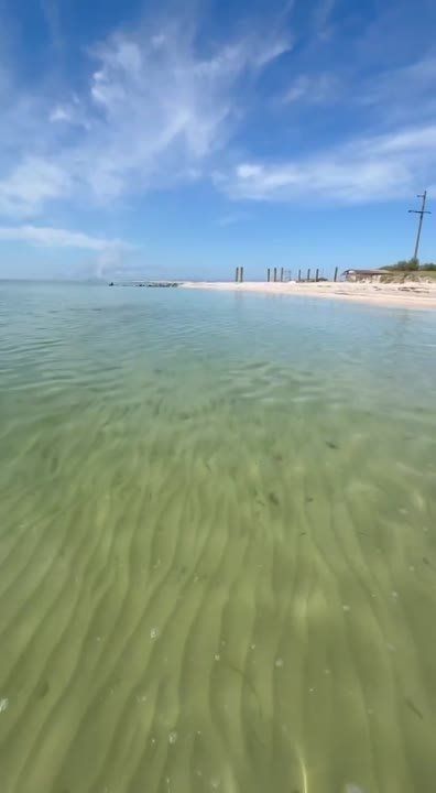 ������� ���������� ������ � ���� ������ ��������������� ���������� ������