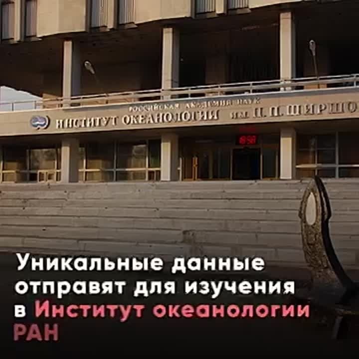 ���������� �������������� ����� ������� ��������� ������� ������, ������� 20 ����, 22 ���� � 45 ����� �� ��������� �������� ���������� ������� ��-24 � ������ ��������� ������