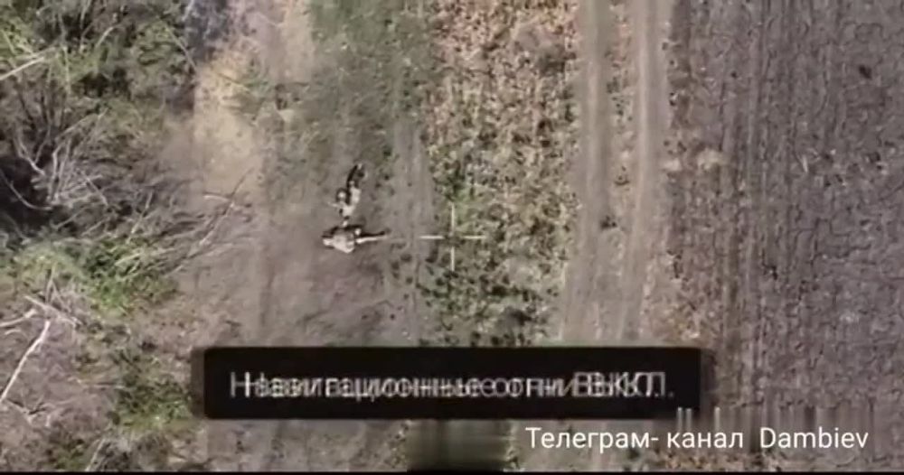 ��������� fpv-������ 14 ����������� ������� ��� ���������� ���������� ����� ���� ���������� �� ����-�������� �����������