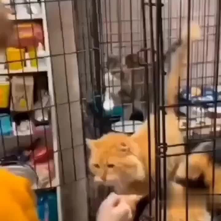 ���������, ������� ����� �����! ����� ������ ���� ������� �����, ��� ������ ��� ������� � ������