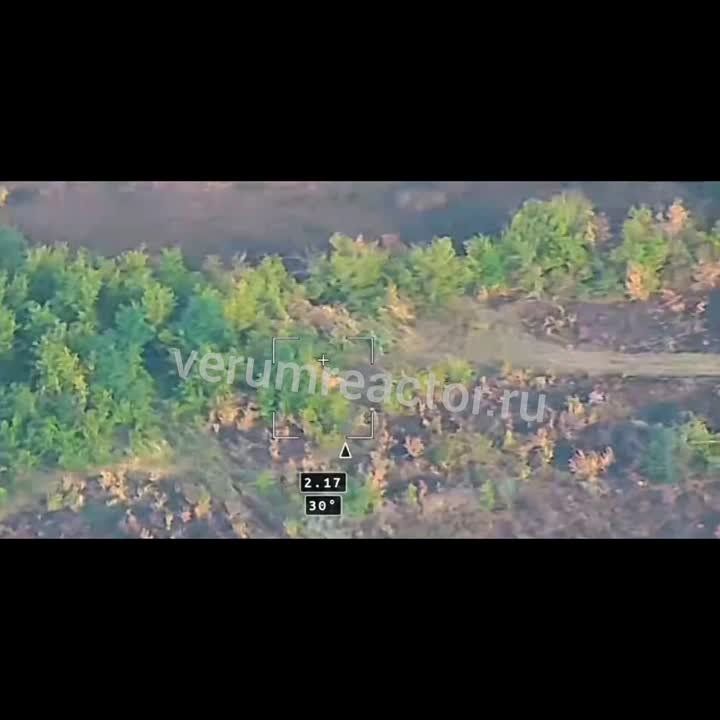 ����� 1194 ��� ����� ����������� ����� ������� ��������� ������������� ��������� "������" � �������� ��� ���������� � ������ ����������-��������
