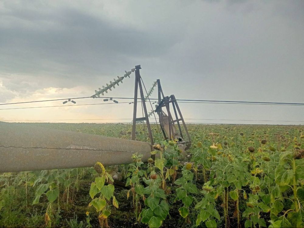 Электроопоры на границе Херсонской и Запорожской областей повреждены из-за ураганного ветра, сообщил губернатор Херсонской области Владимир Сальдо