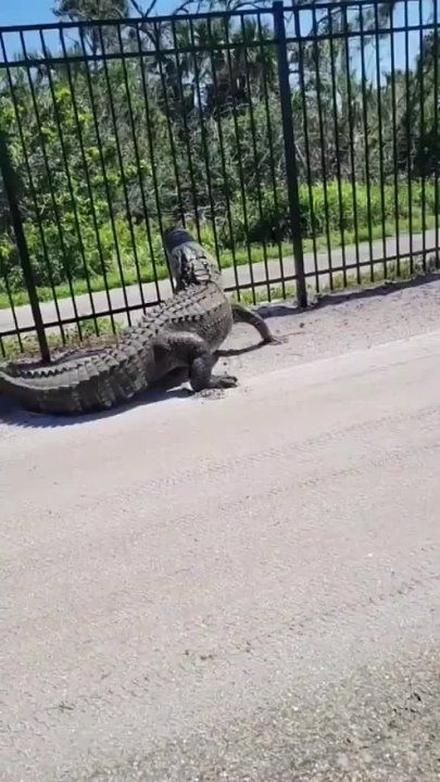 �������� � ���� ����������: �������� ����� ���� � ������ �������� ������