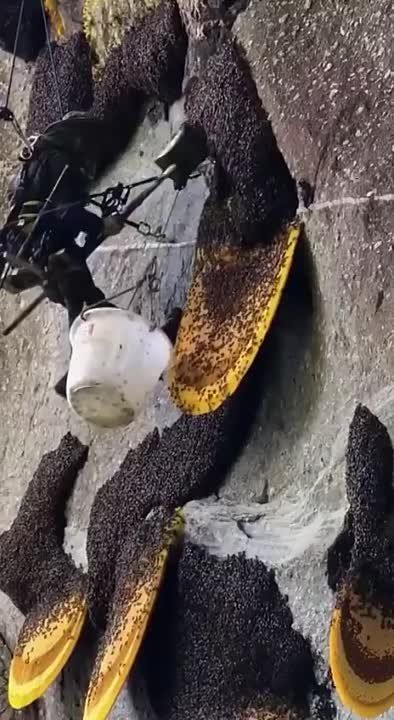 ���� ��������� ��� � ���-��������� ����