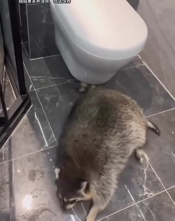 ������ ����, ������! �������� ��� ��� � ��������� ����������!