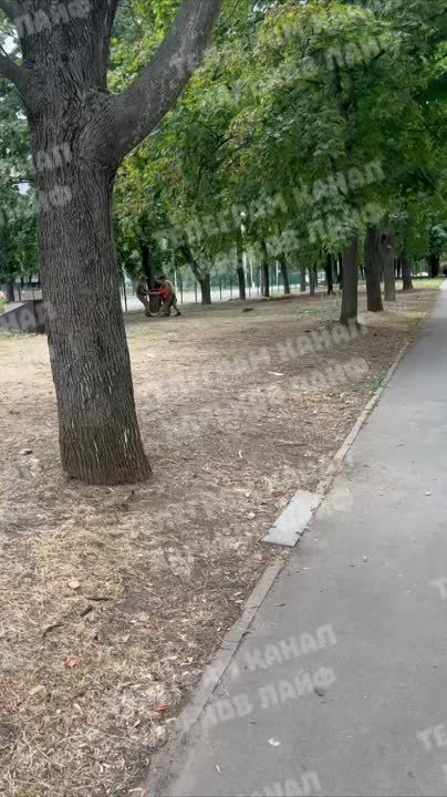��� �������� � �������� ����������� ����� ��� ���������� ���� � ������� �������