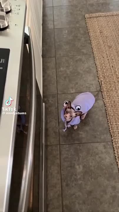 ����!. ��������� ��������!! �������������� ��
