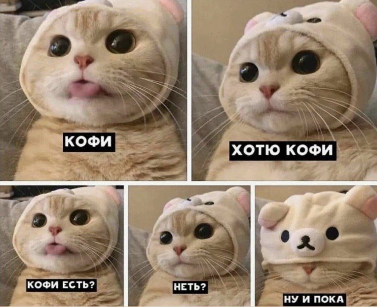 ������ � ���� ���������� �� ����������