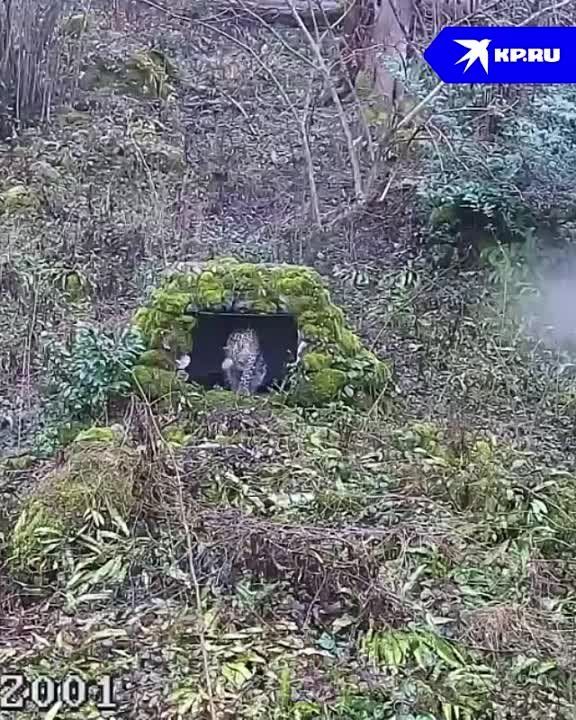 ������� ������. � ������ �������������� ��������� �������� � ���������� �������� ��������� �� ���� � ����� �����