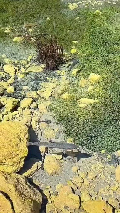 ���������� ������ ���� � ����� ����� ��������, ������ � ������� ��������������� ����