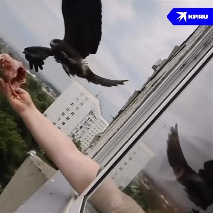 ��� ��������� ������� �������