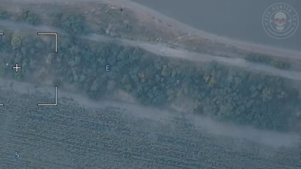 ����� �����: ����� 22 ��� ��� ���������� ��� ��� �� ����������� �����������