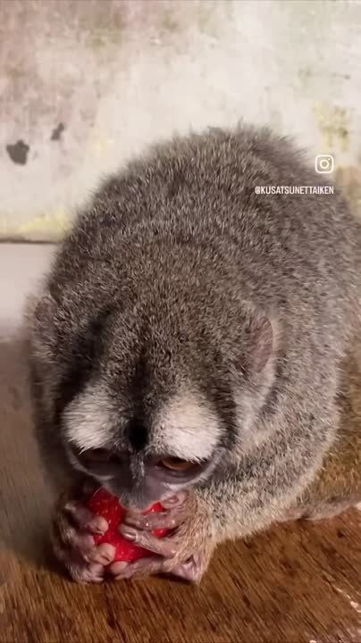 ����!. ��������� ��������!! �������������� ��
