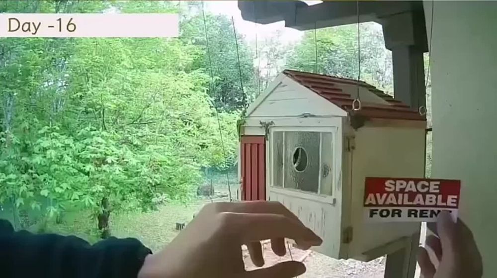 10-������� �������� ��������� ���� � ����������� ��������