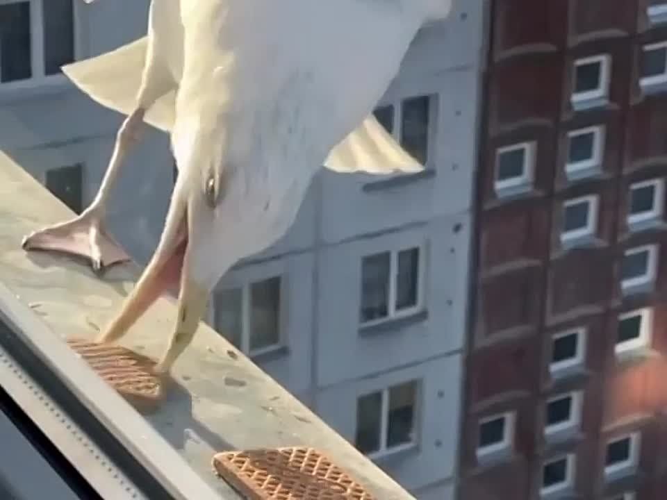 ������� � �������� ����� � ������