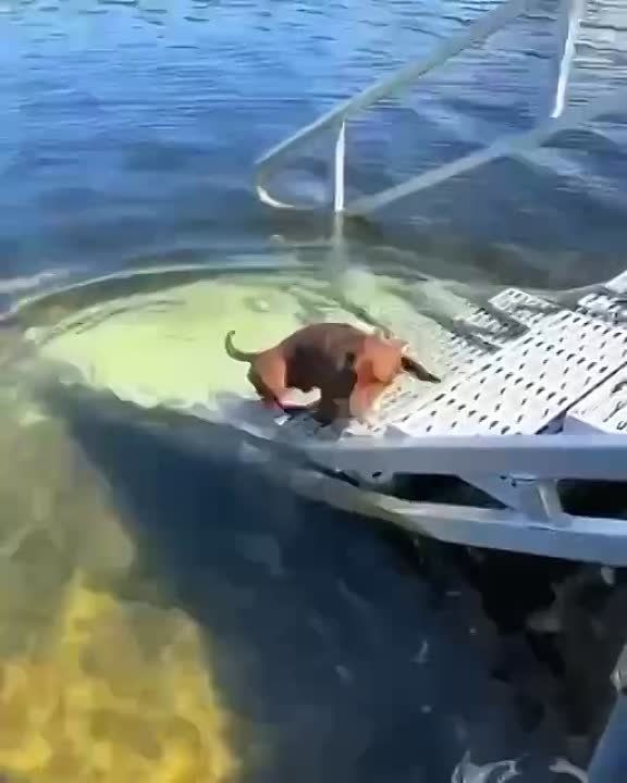 ������ ����, ������!. ����� �����������! �������������� ��