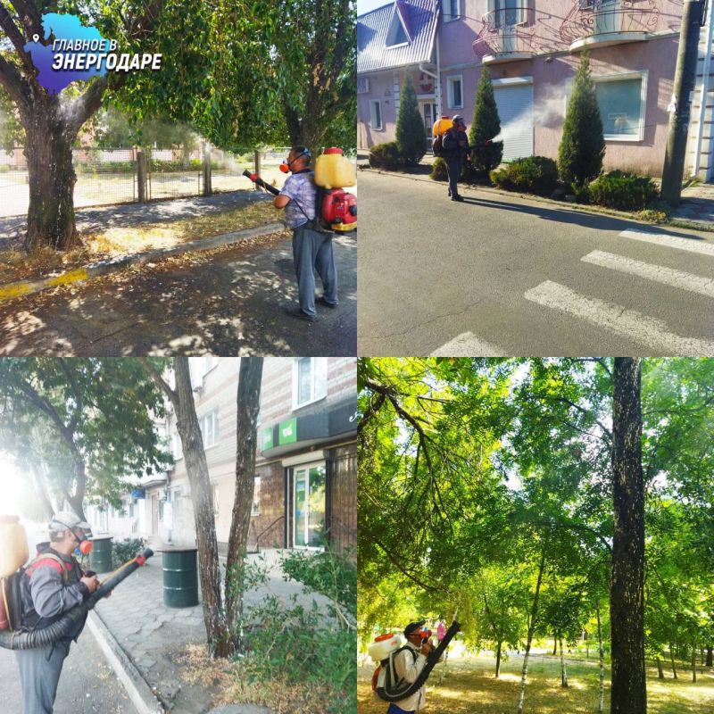 ������������ ������ ��������� ���������� �������� � ��������