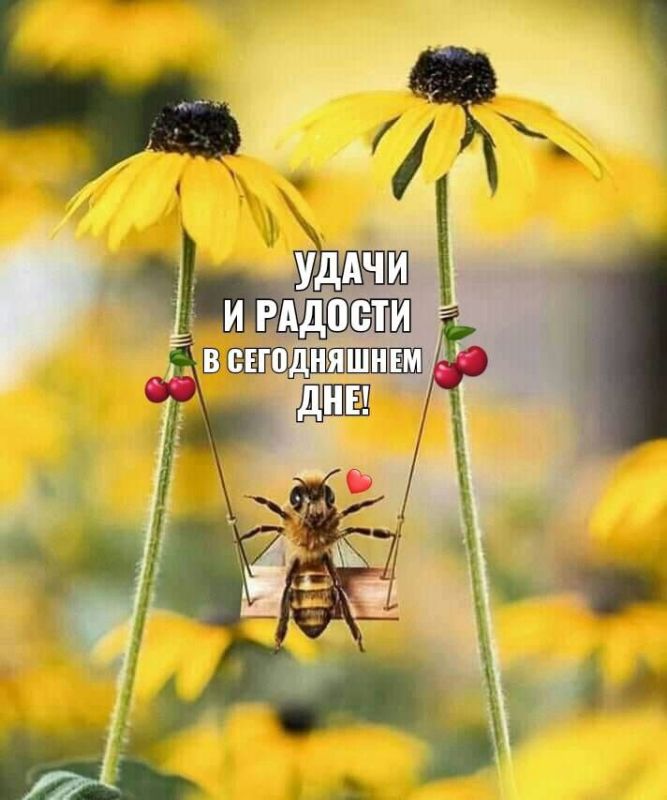 � ������� ������, ������� ������ � ����� ���������� ������ ����������!