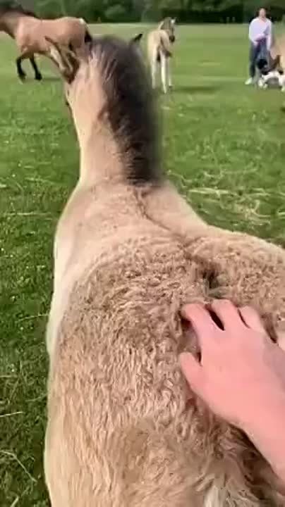������� ���� ������� ��������! ������ ��������� � ������������! ��������!