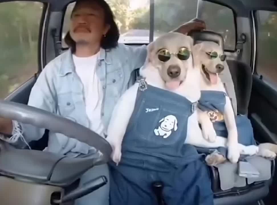 ��������� ���� ������ ���� ��� �����