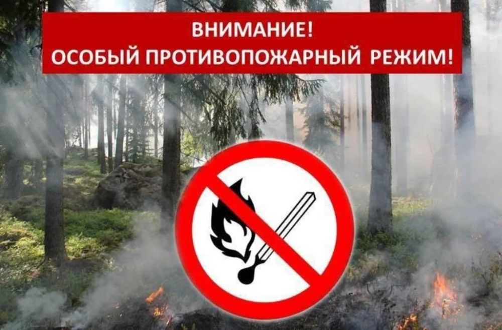 ��� ������ �� ����������� ������� �������������: 15 ������� � ���-�������� ������� ������� ��������� ������������ ���������������