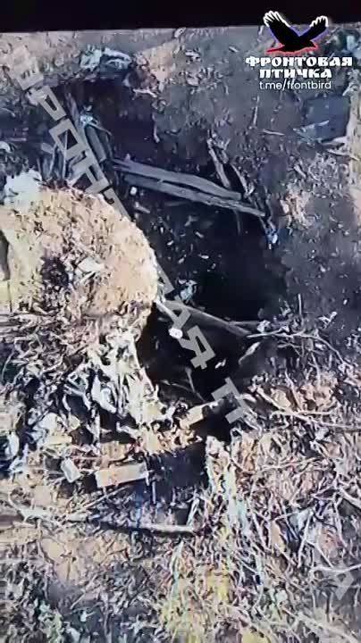 ����� �����: �������� ����� � ���� ���. ����������� �����������. �������� �.�. ��������