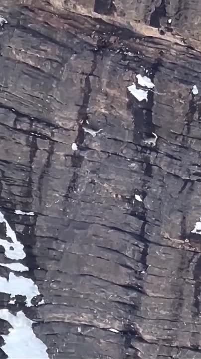 ������������������ ���� ������� ������ ��� �������