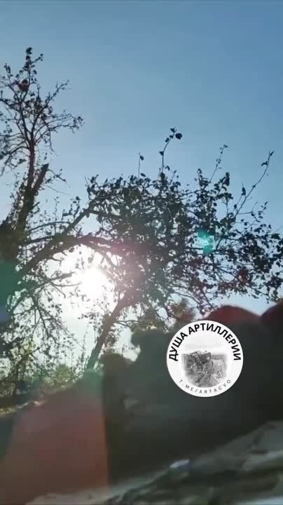 ������, ����� ���� �������