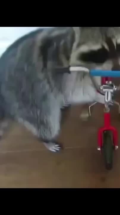 ������ ����, ������! �������� ��� ��� � ��������� ����������!