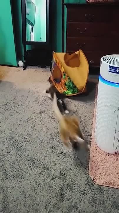 ������ ����!