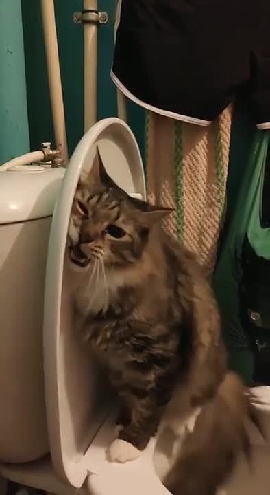 ������� ���� , ������� ������������!