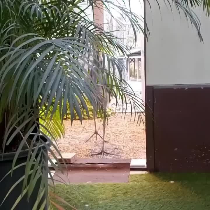 ������������ ����� ��������� ������ ���������, �� ������ ��� ������������� ���� ������, ������ ������� � ������ ���������, ������� ���� ������� ������ ����