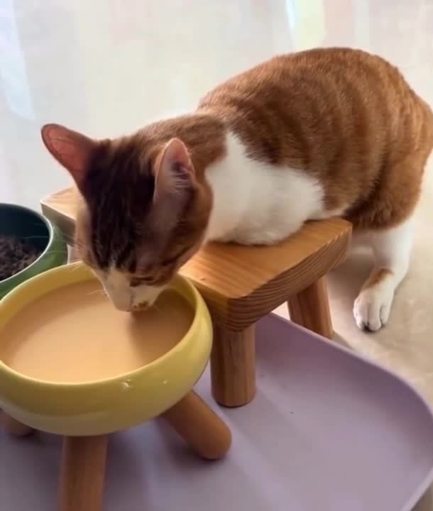 � ����� ������ ��� �������� ����� � ��� ���� ������� ��� ���� ���� ����������� ��������, ����� ��� ���� ������� ����