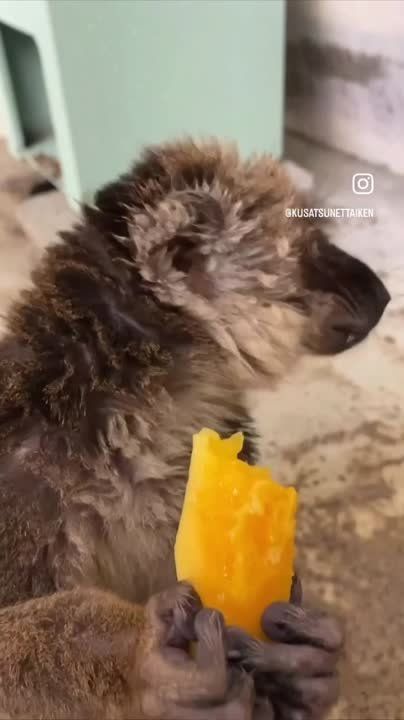 ����!. ��������� ��������!! �������������� ��