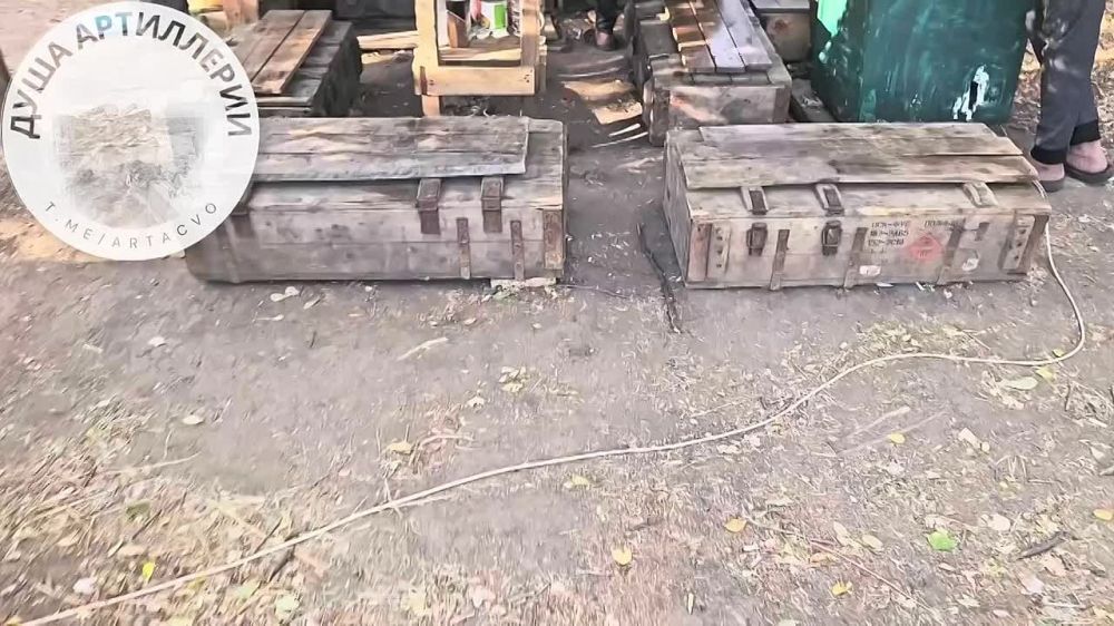 ���� �� ����� ������. #�������� #����������� #����������