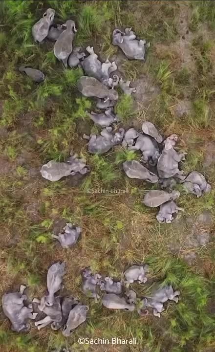 ������� � ��������� ����