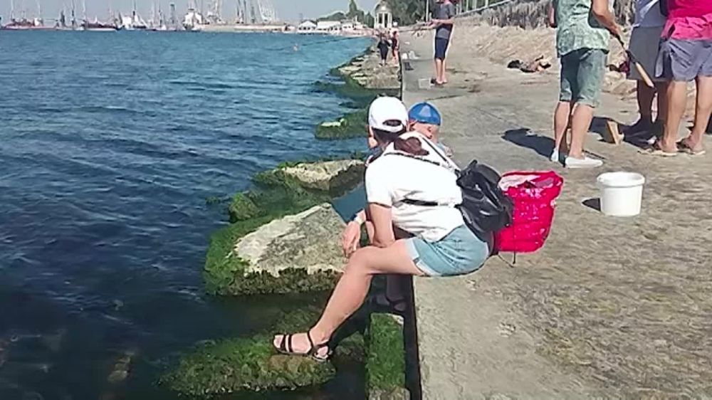 � ��������� ���������� ������������ �� ������ �����
